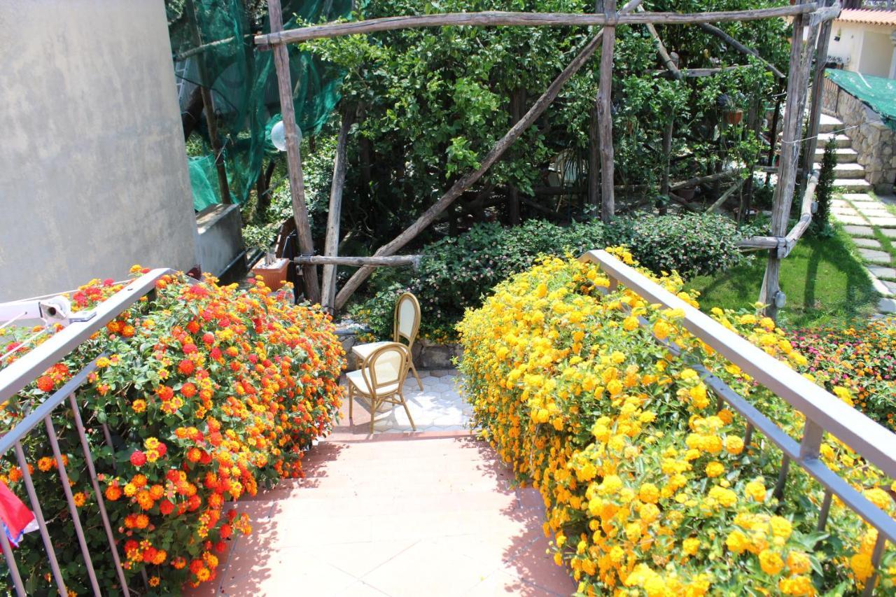 Casa Vacanze Chery Sorrento Exterior foto