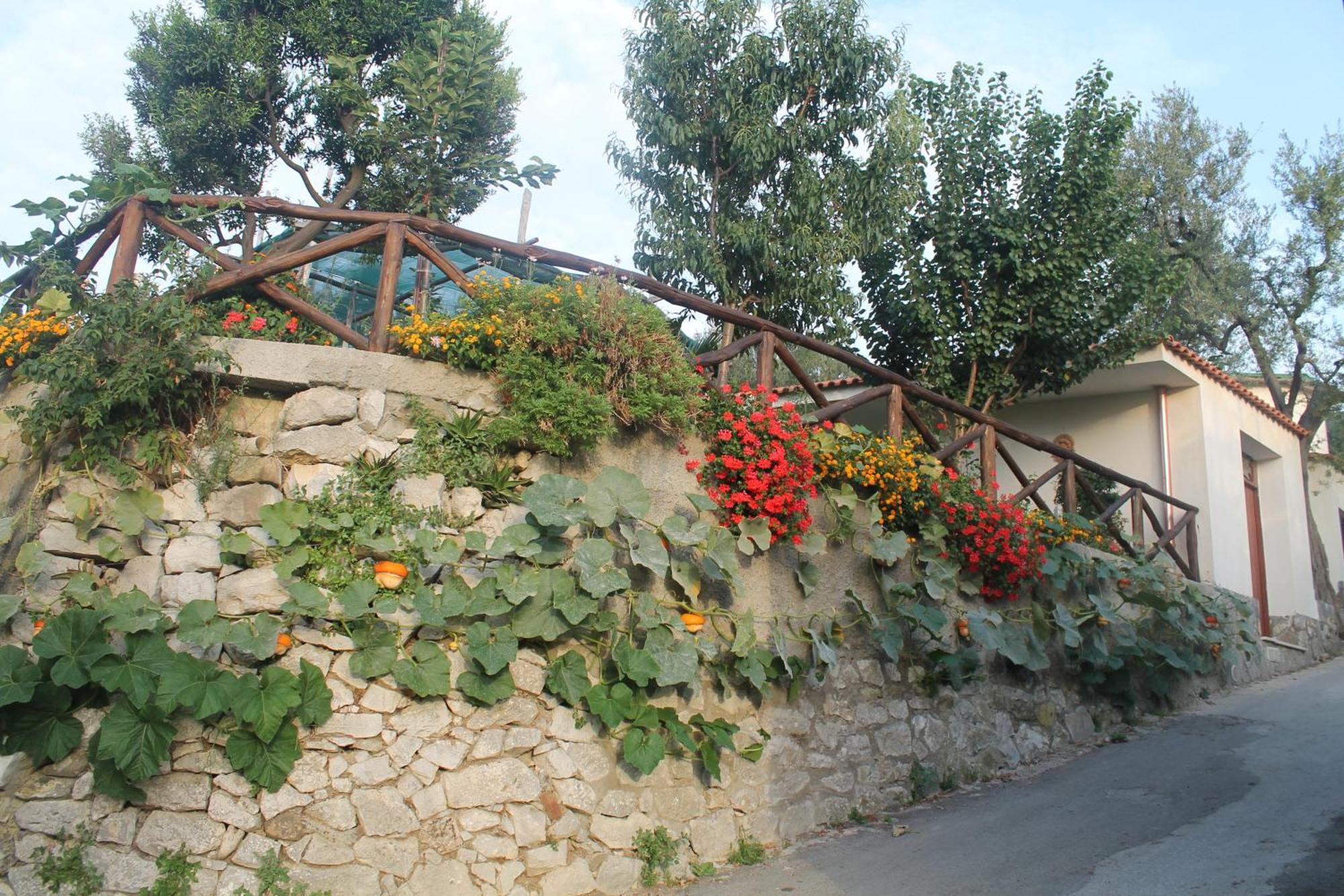 Casa Vacanze Chery Sorrento Exterior foto