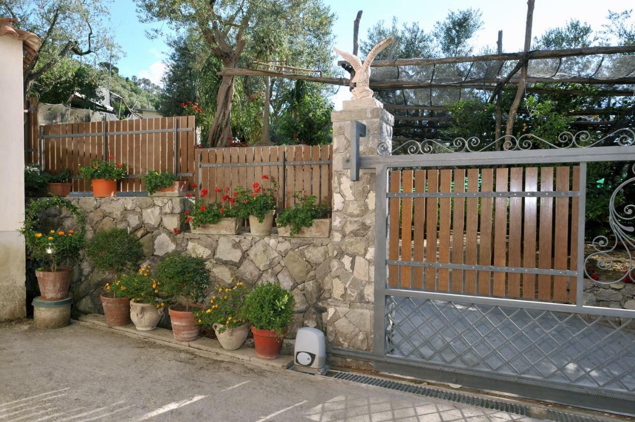 Casa Vacanze Chery Sorrento Exterior foto